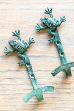 Load image into Gallery viewer, rise n°1 Frog Hooks - Set of 2