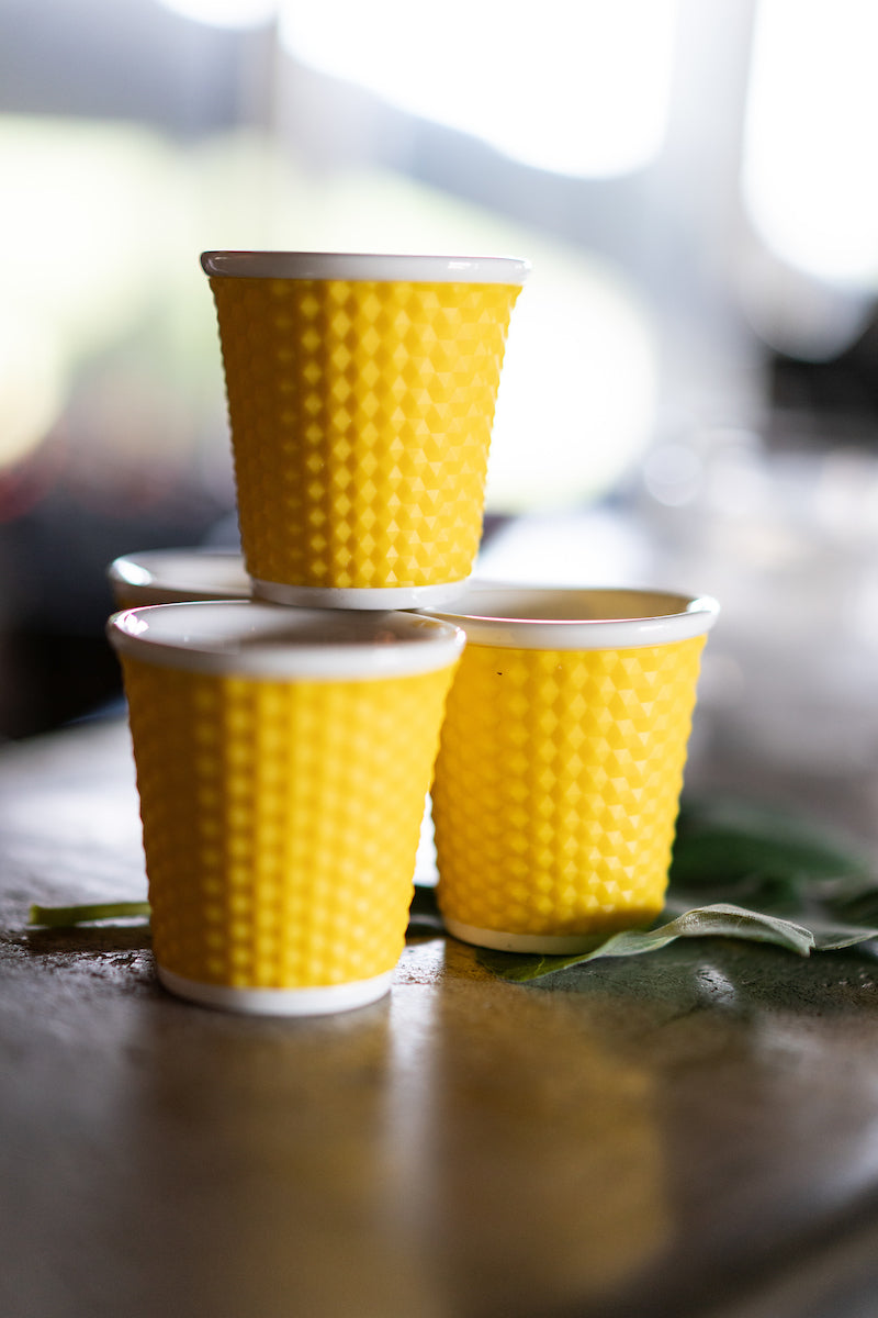 Single Shot Espresso Cups - Set of 6