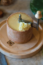 Load image into Gallery viewer, rise n°1 Girolle